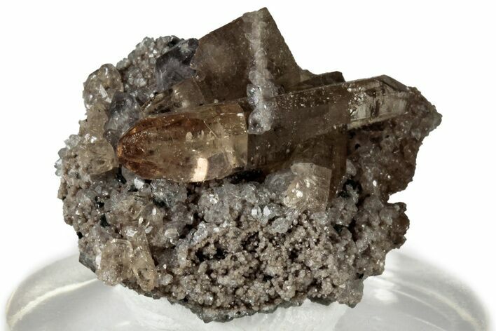 Lustrous Champagne Topaz Crystal Cluster w/ Amethyst - Utah #309273
